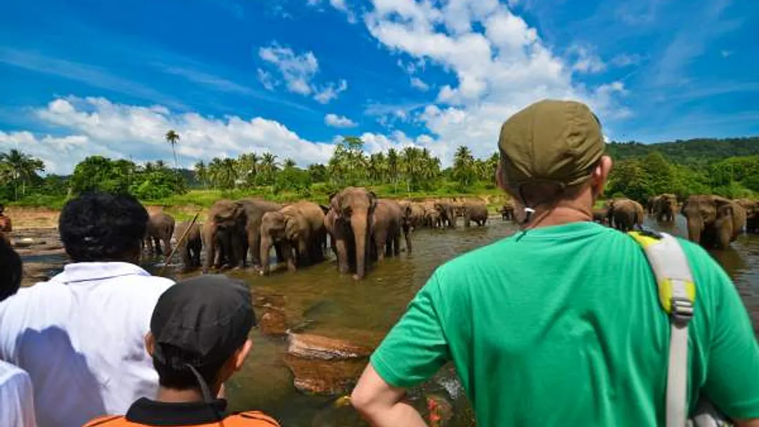 Highlights of Sri Lanka’s Wildlife: Safaris, Nature, Fauna & Landscapes