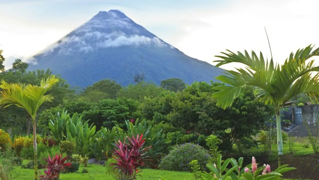 Treasures of Costa Rica: Rainforests, Volcanoes, Wildlife, Beaches & Culture