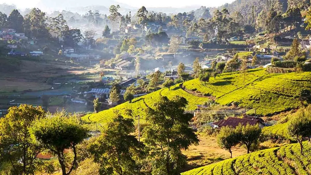 Splendour Of Sri Lanka: An Enchanting Discovery of Culture and Nature
