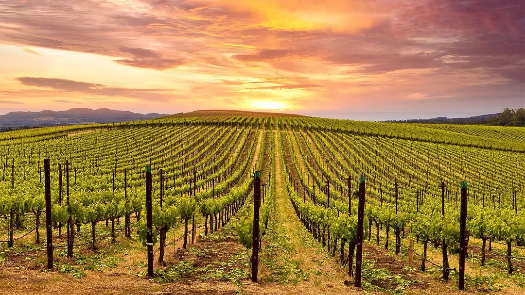 Napa Valley Marriott Hotel & Spa