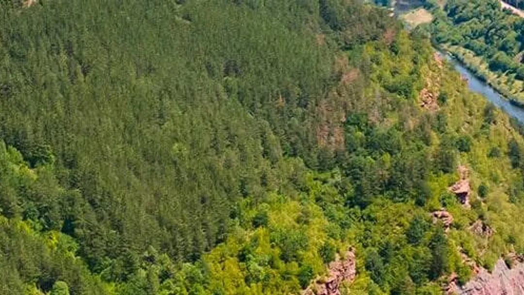 Bulgaria