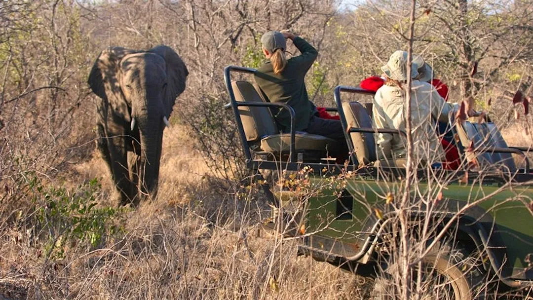 South Africa Safari & Mauritius Classic