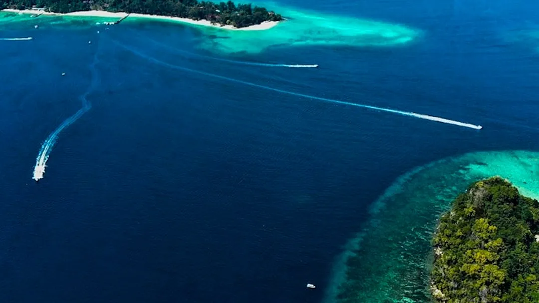 Diverse Borneo - Wildlife, Landscapes & Coast