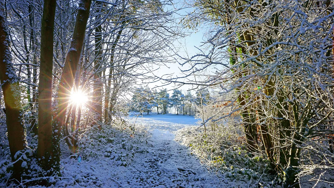 Christmas in Cambridgeshire