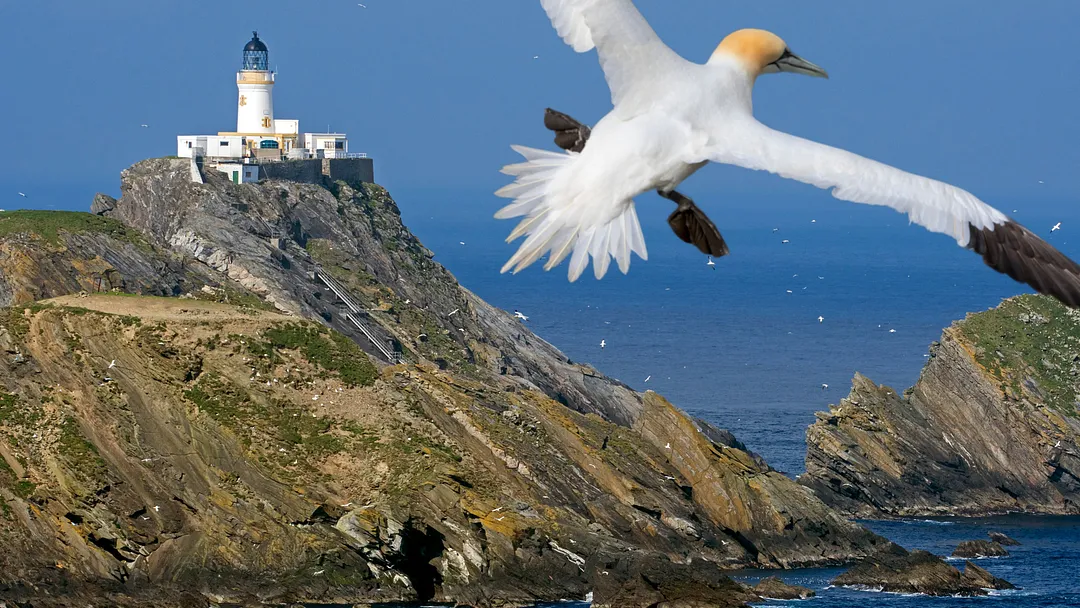 Orkney & Shetland Islands
