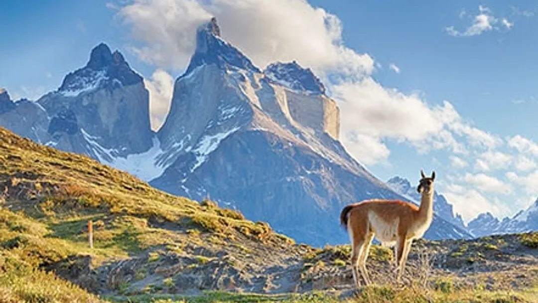 South America Luxury Cruise - Buenos Aires to Santiago (San Antonio)