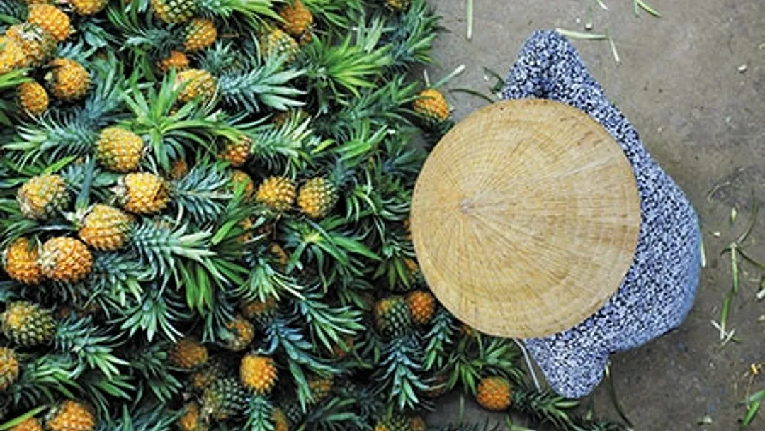 Asia Luxury Cruise - Bali (Benoa) to Singapore