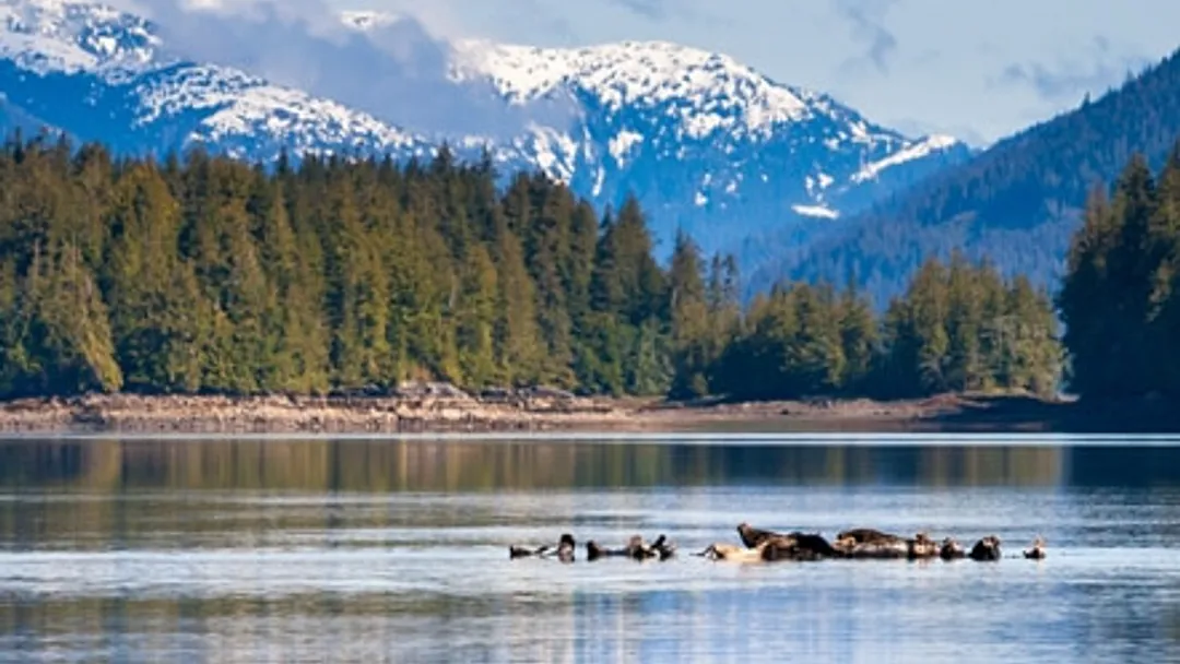 Alaska Luxury Cruise - Whittier to Vancouver