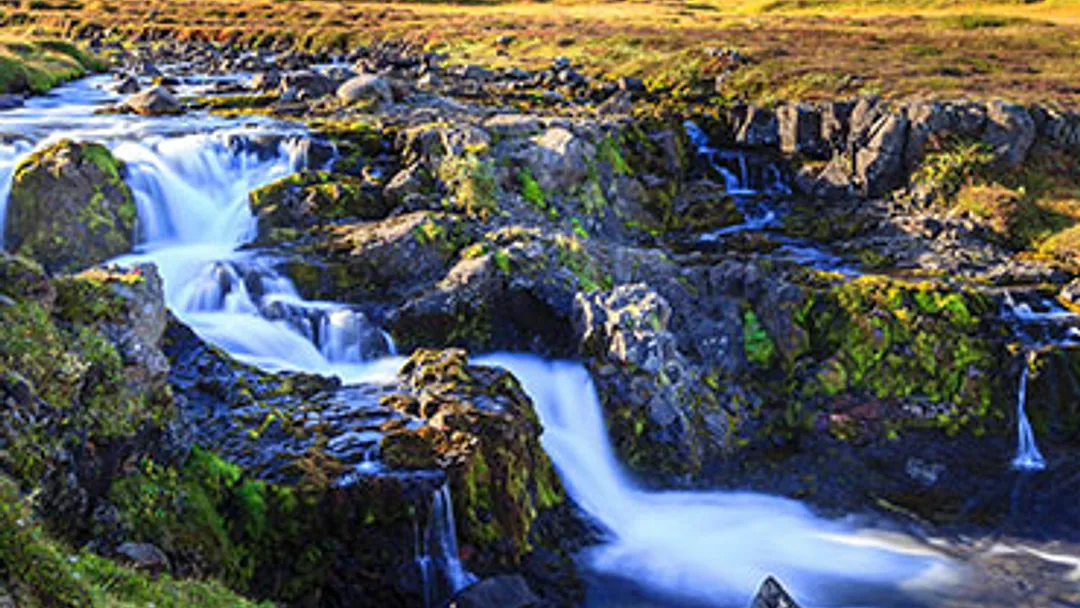 Shetland Islands & Icelandic Fjords by Holland America Line