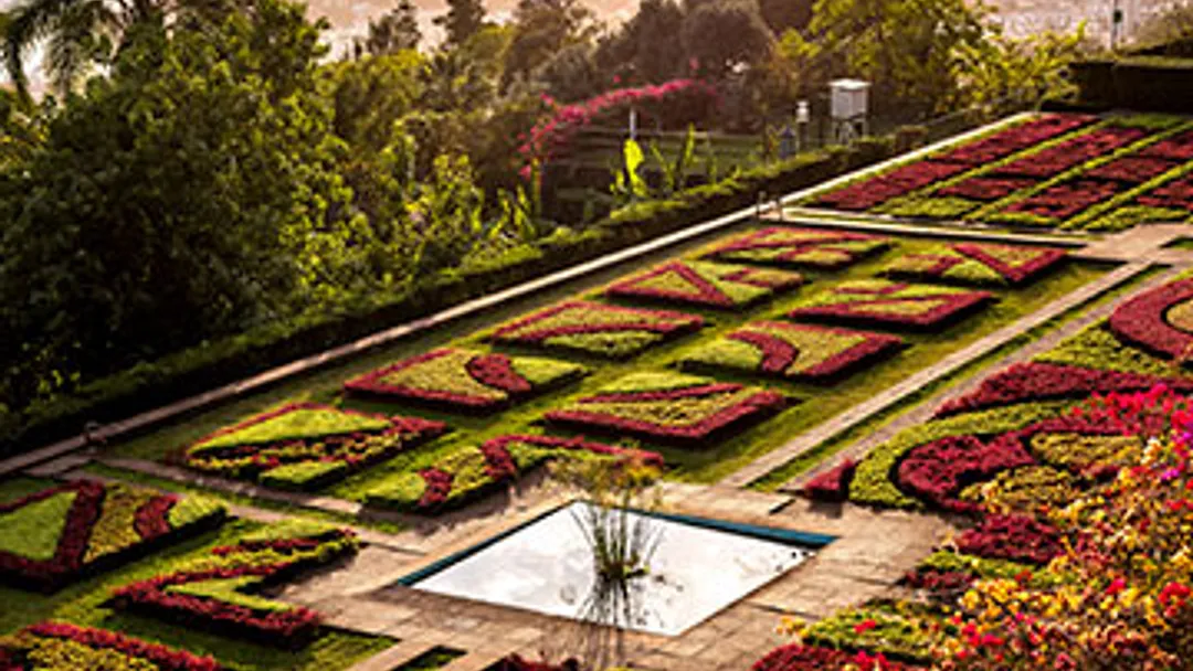 Lisbon to Santa Cruz de Tenerife by Silversea