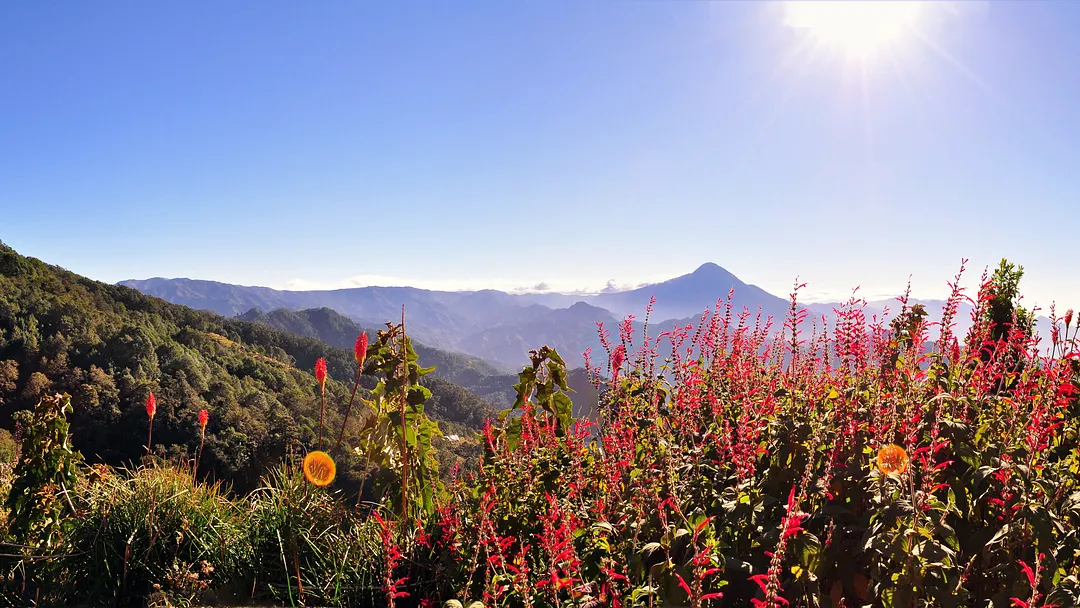 22-Day Panama Canal from New York to Seattle: Mexico & Costa Rica by Norwegian Cruise Line