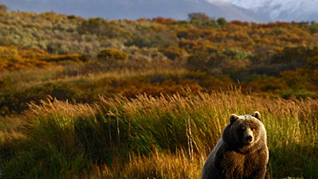 Pacific Passage: Yokohama to the Yukon by Seabourn
