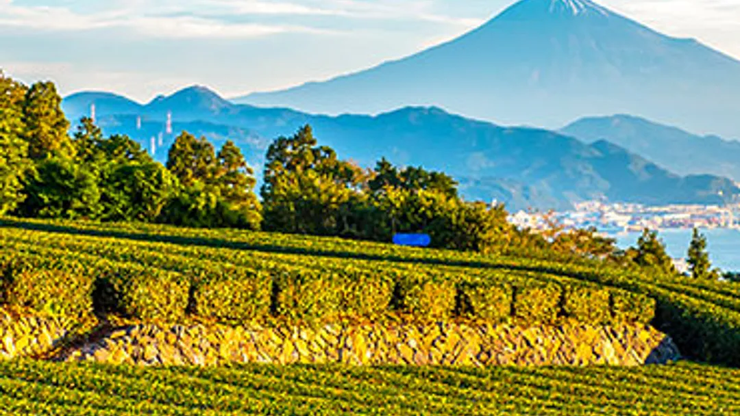 Japan Explorer by Princess Cruises