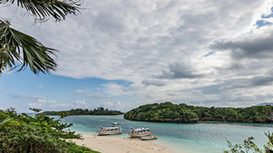 14 Night Japan & Korea: Tokyo, Okinawa by Celebrity Cruises