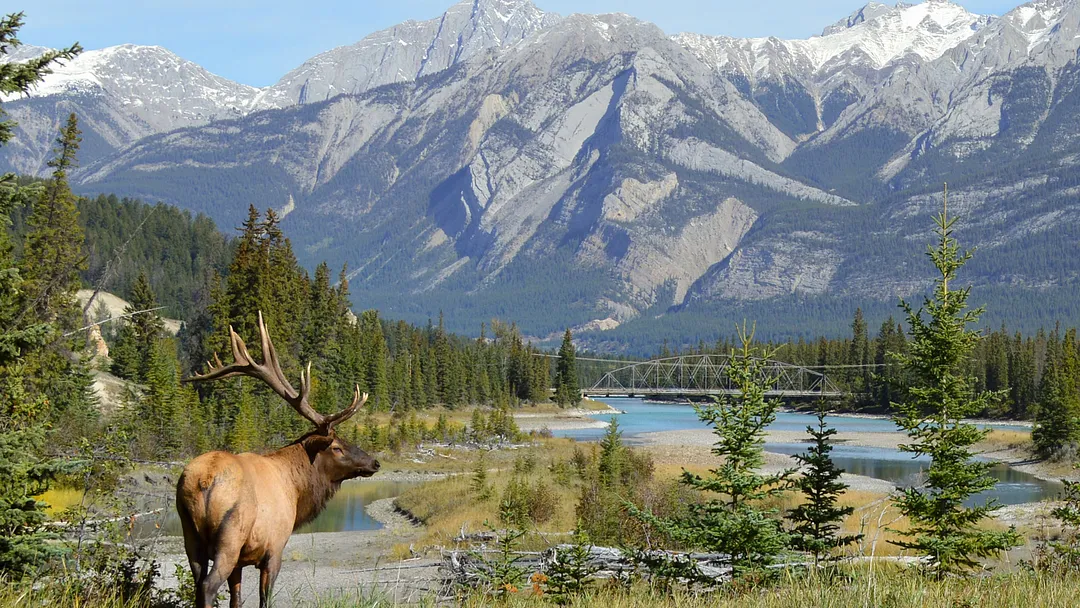 2026 Canada & Alaska Ft. Great Frontier Expedition by Celebrity Cruises