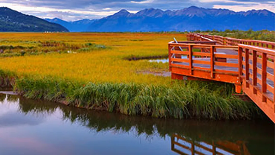 14-Day Alaska Glacier Discovery Collectors' Voyage by Holland America Line