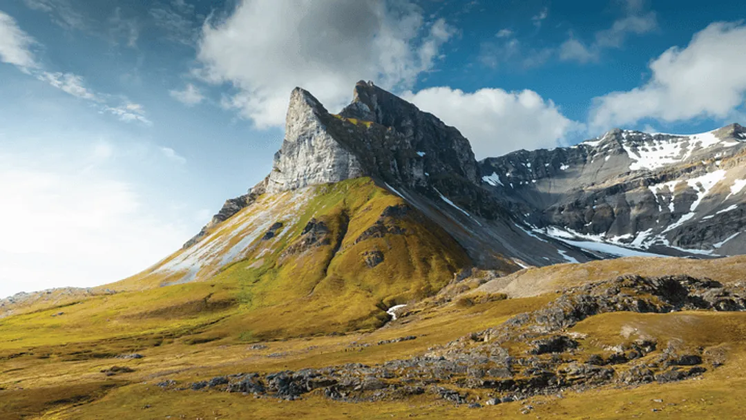In-Depth Svalbard Cruise