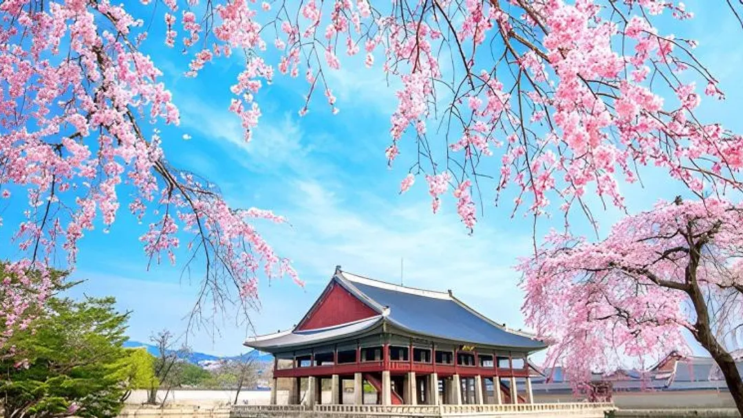  Tokyo, Kyoto & Seoul Uncovered – 7 Nights