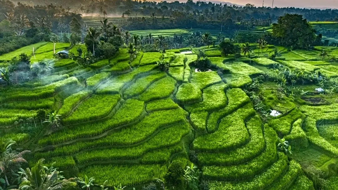  Bangkok, Singapore and Bali - 13 Nights