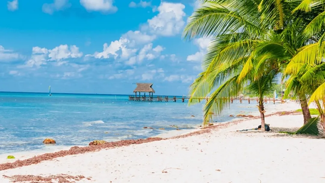  New Orleans & Caribbean Cruise with Mardi Gras – 11 Nights