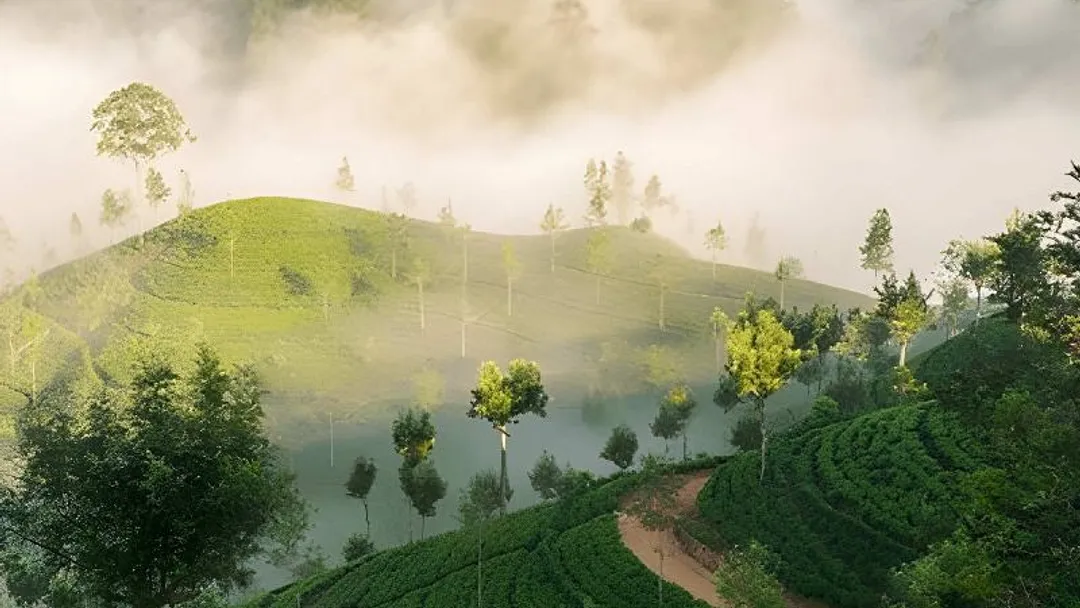  Sri Lanka Group Journey with Luxury Beach Stay – 9 Nights Escorted Tour