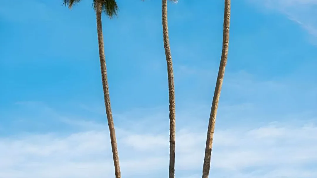  Canary Islands Twin-Centre Escape: Tenerife & Gran Canaria – 7 Nights