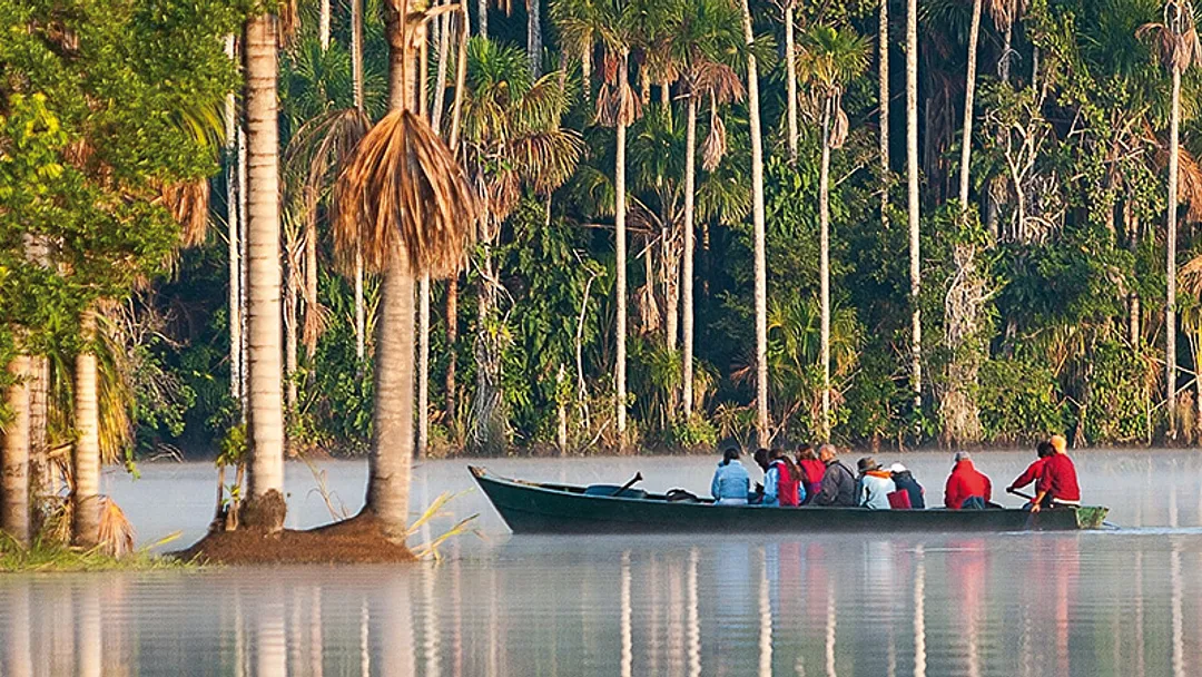 Wild Peru