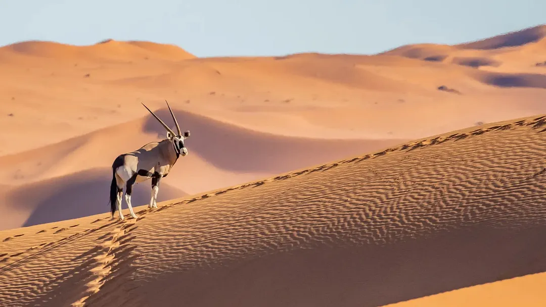 Namibia & Botswana Tour by Africaventura