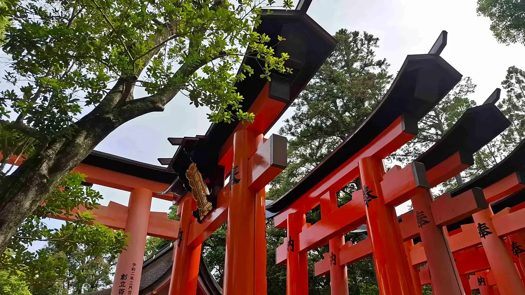 Japan in 2 Weeks: Cities, Temples & the Real Japan by Japaventura