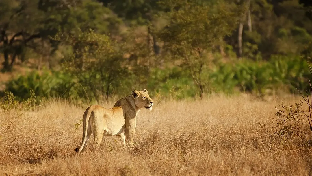South Africa 2 Week Tour by Africaventura
