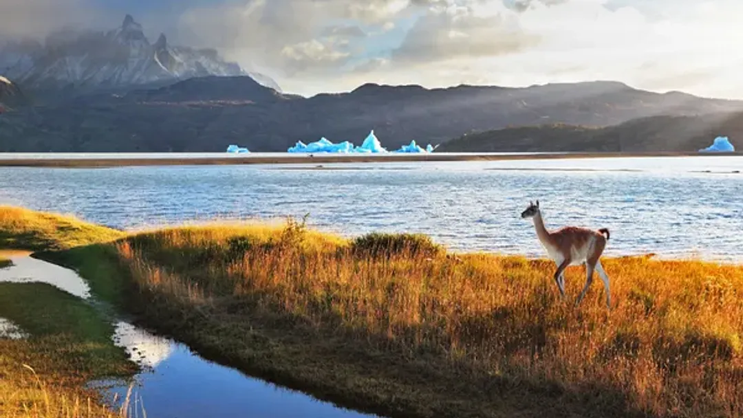 NEW! Longitudinal World Cruise VI