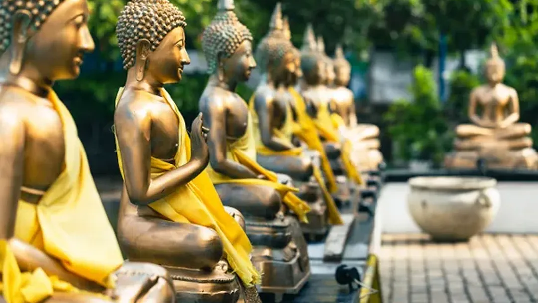 NEW! Viking World Cruise